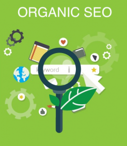 SEO services