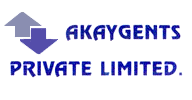 AKAYGENTS PRIVATE LIMITED Website Design and Development packages