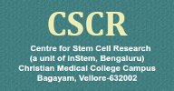 CSCR Top Web Development Company