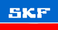 SKF Custom Web Application Development