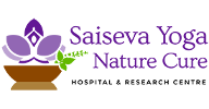 SaiSeva Yoga Nature Cure Web Application Development Company In Chennai