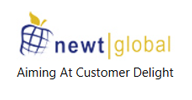 Newt Global Consulting LLC